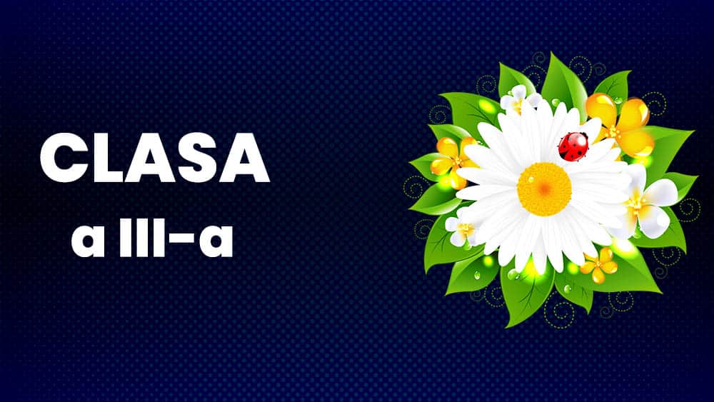 Științe ale naturii - Clasa a III-a
