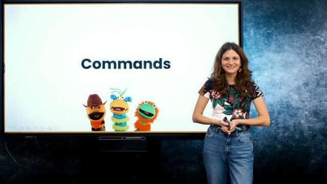 Commands