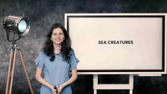 Sea creatures