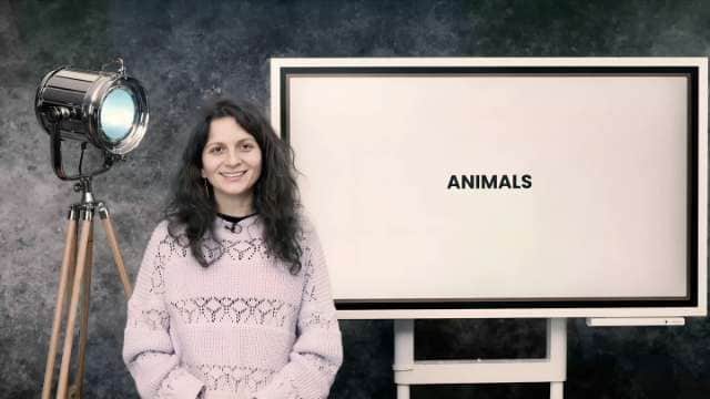 Animals