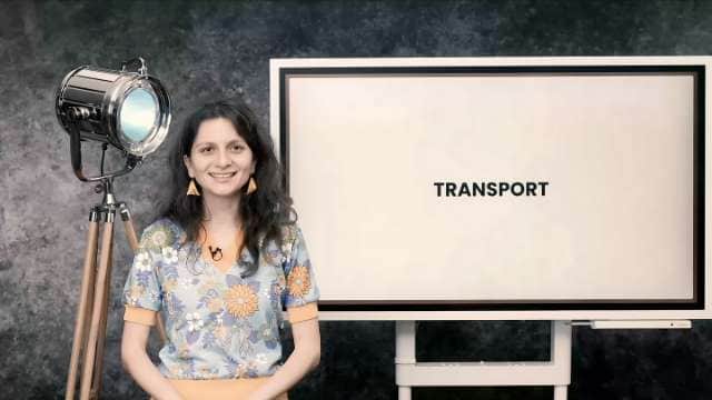 Transport