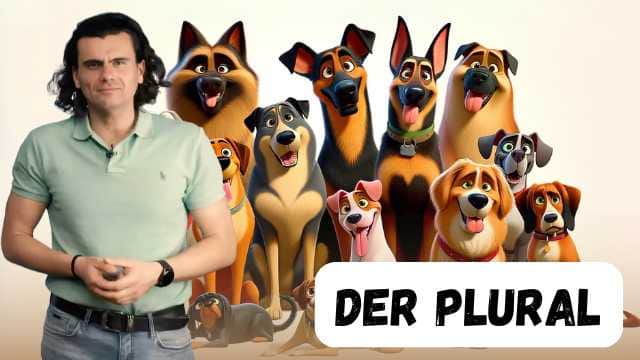 Der Plural - Pluralul
