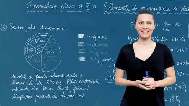 Elemente de organizare a datelor