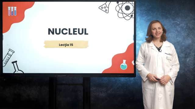 Nucleul | teorie, aplicații de calcul