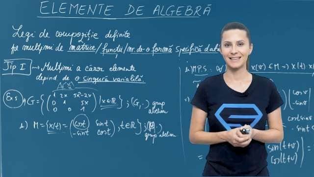 Multimi a caror elemente depind de o singura variabila - P5