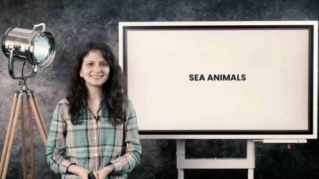 Sea animals