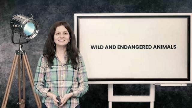 Wild and endangered animals